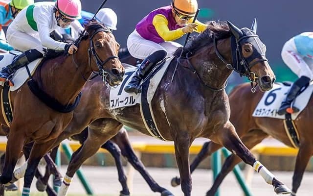 【AI予想】血統や生産者も見逃せないポイント！ ローズSでAIが選んだ人気薄の1頭を分析