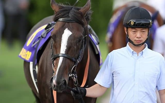 【白山大賞典】JRAヒストリーメイカー、金沢の青柳正義騎手と2年9ヶ月ぶりコンビへ