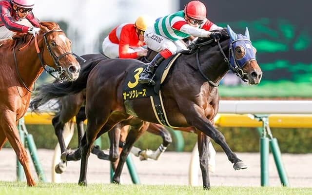 【セントライト記念注目馬】オーソクレース　メンバー屈指の良血がようやく真価を発揮