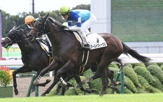 【ローズS注目馬】アールドヴィーヴル　姉が敗れた舞台で悲願のタイトル奪取を