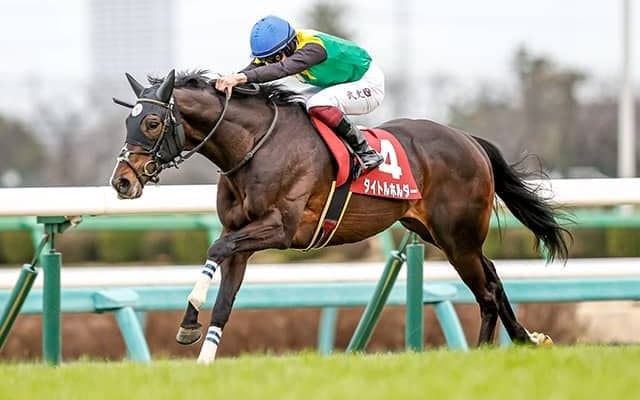 【セントライト記念】出馬確定　タイトルホルダー＆横山武史、ソーヴァリアント＆戸崎圭太など14頭