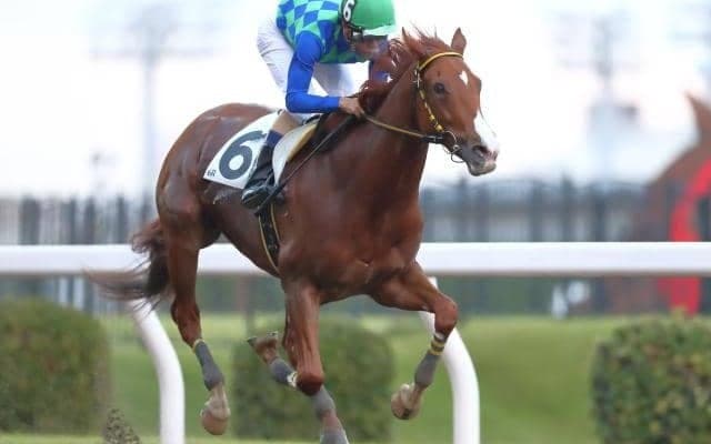 【川崎・シャイニングトレジャー賞結果】森泰斗騎手騎乗のレディオガガが人気に応えて完勝