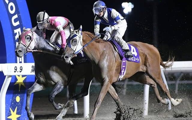 無観客開催が続くホッカイドウ競馬で繰り広げられた白熱のマッチレース