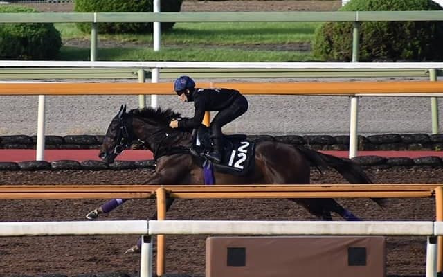 【ローズS注目馬】父ディープインパクト、母仏オークス馬 世界的良血が3冠目奪取に向けて始動