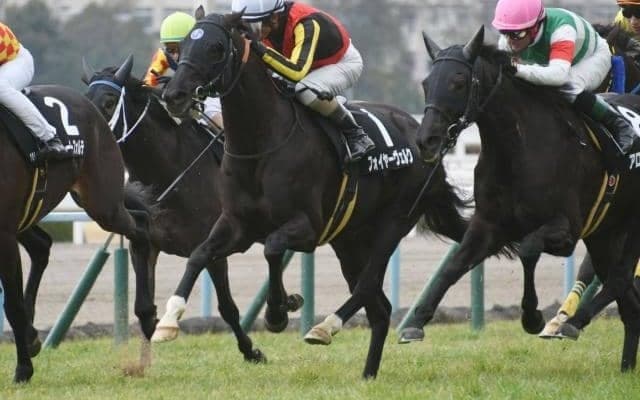 【阪神ジャンプS枠順確定】フォイヤーヴェルクは3枠3番、トゥルボーは7枠8番