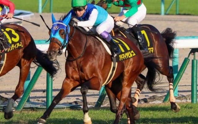 【本日の注目ポイント】三日間開催初日、中京で阪神ジャンプS