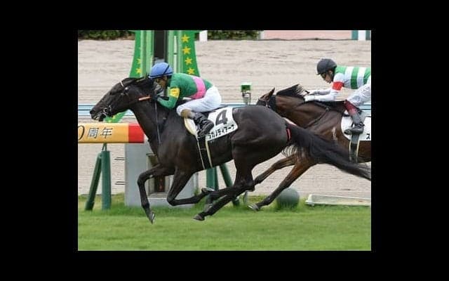 ローズＳで今年も100万馬券が飛び出すか。高配当をもたらすのは末脚確かな２頭