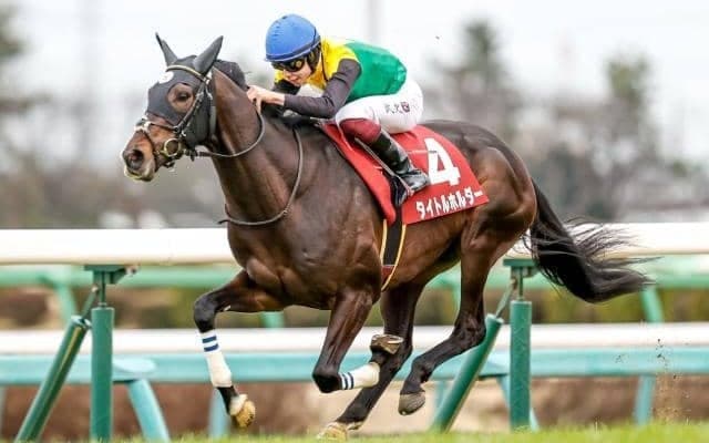 【セントライト記念枠順確定】タイトルホルダーは5枠7番、オーソクレースは6枠10番