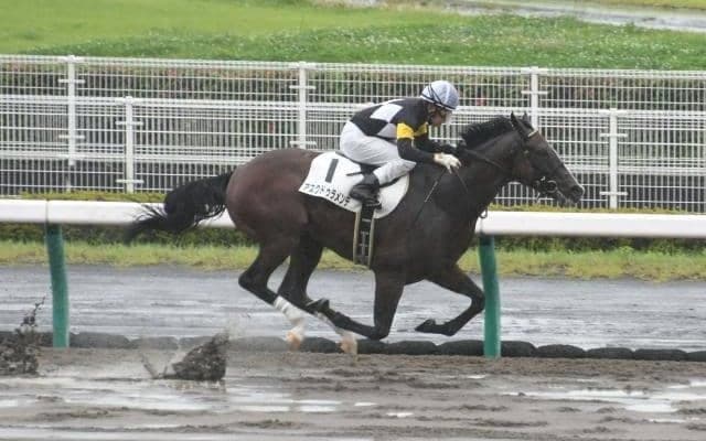 【中京4R新馬戦結果】アスクドゥラメンテが快勝、福永Jは年間100勝達成