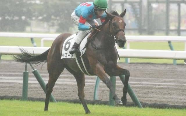 【中京5R新馬戦結果】インディチャンプの妹ラキエータが人気に応える