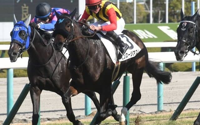 【WIN5予想】ローズSは“急坂”に対する適性がポイント