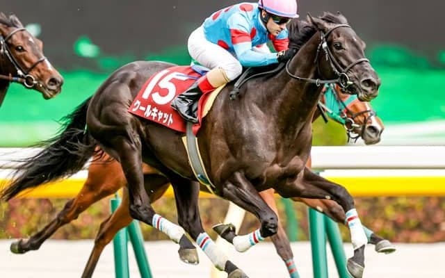 【ローズS予想】同距離GII勝ちの人気馬がまさかの『消し』 その理由は馬体重？/JRAレース展望