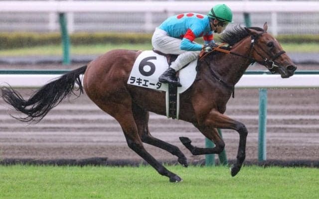 【新馬/中京5R】インディチャンプ半妹 ラキエータがデビューV