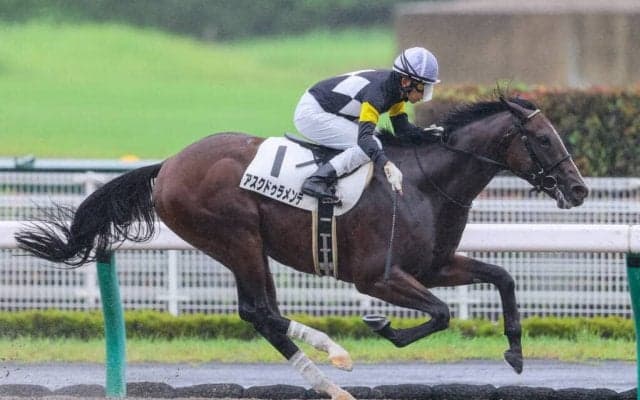 【新馬/中京4R】アスクドゥラメンテが完勝 福永騎手は年間100勝