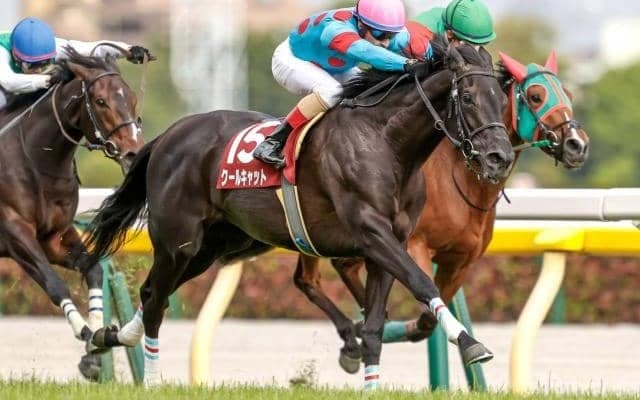 【本日の注目ポイント】中京で秋華賞トライアル・ローズS
