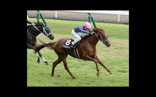 ローズＳの馬券のサインとは？　同じ花の名前か、はたまた世間を騒がす総裁選か