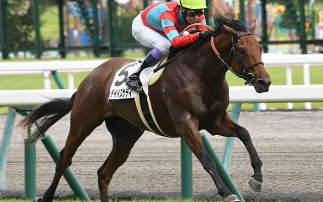 【中京5R新馬戦結果】トゥデイイズザデイがマイペースで逃げ切って快勝