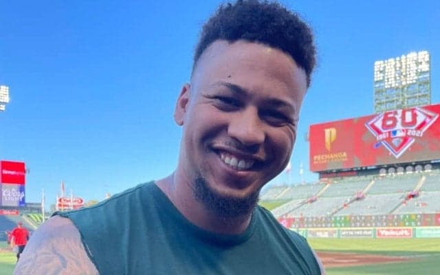 【MLB】大谷翔平は「本当に良い打者」　ア軍剛腕、直接バトルに向け“褒め殺し”作戦!?
