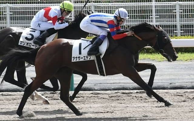 吉村圭司調教師がJRA通算200勝「サラブレッドたち、厩舎のスタッフに感謝」