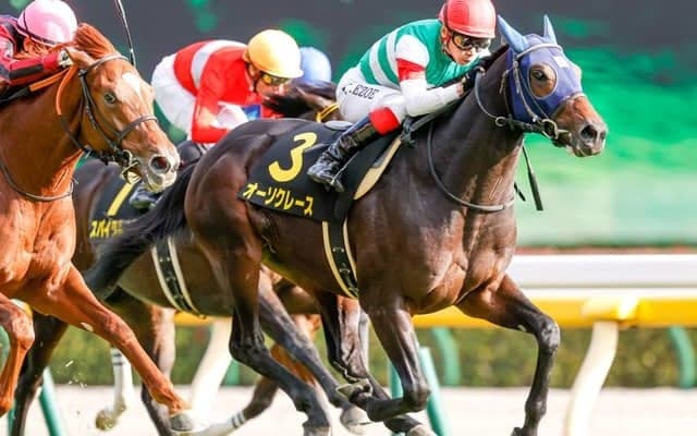 【セントライト記念予想】エフフォーリア不在の菊花賞狙う超良血に黄信号!? 過去10年未勝利の不安データ/JRAレース展望