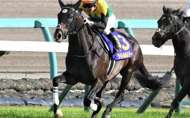 【セントライト記念予想】台風の影響も気になる菊花賞の前哨戦