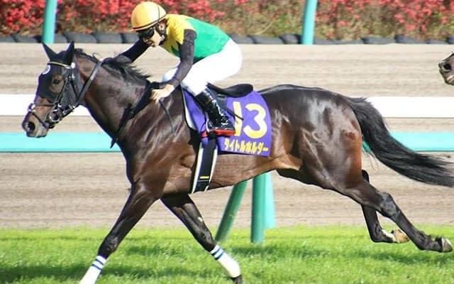 【セントライト記念・馬体重】タイトルホルダーは466kg(+2)、ソーヴァリアントは510kg(+4)