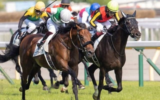 ダービー馬始動　GII神戸新聞杯とオールカマー/今週の競馬界の見どころ