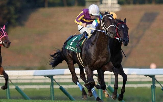 【盛岡・ジュニアグランプリ】モリデンブラックが1番人気のギャレットを交わして重賞初制覇！