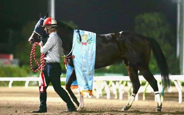 【大井・ゴールドジュニア】圧勝ママママカロニの矢野貴之騎手「これからどう成長するか楽しみ」