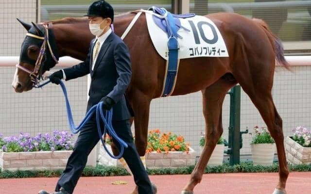 【門別競馬情報】勢いと伸びしろで3歳馬が優勢!? コパノフレディー、カツゲキダイリン、ビービービルダーの“将来性”も要チェック「スワーヴリチャード・プレミアム」/地方競馬情報