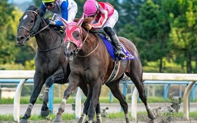 【白山大賞典展望】今年の白山大賞典は上位拮抗の好メンバー！
