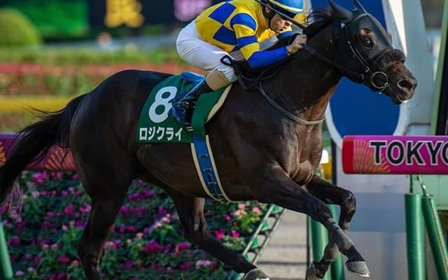【先週のJRA抹消馬】重賞2勝のロジクライ、サンライズノヴァの半妹ピクシーサンライズなど