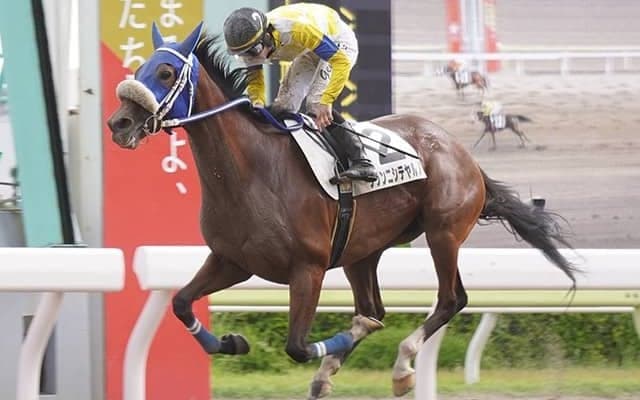 SNSでも話題のプリンニシテヤルノ　新天地で念願の初勝利！ 
