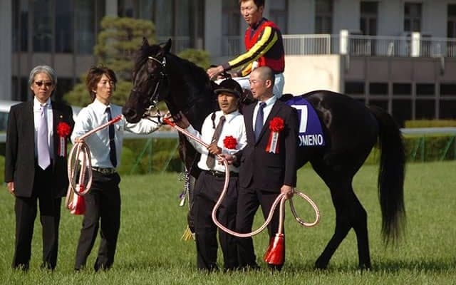 天皇賞・春連覇のフェノーメノが種牡馬引退　レックススタッドが発表