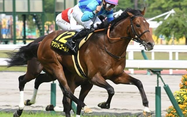 【オールカマー予想】本命候補はどん底から這い上がった遅咲きの苦労馬 「中山芝2200m戦は今週も大荒れ」とAI予想/JRA重賞レース展望