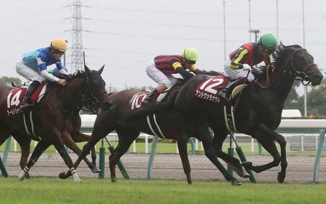 【ローズS】アンドヴァラナウトが重賞初制覇！秋華賞への権利獲得