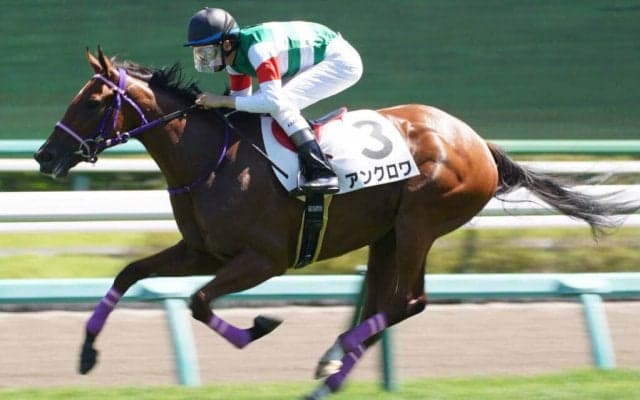 【新馬/中山5R】モーリス産駒 アンクロワがデビューV