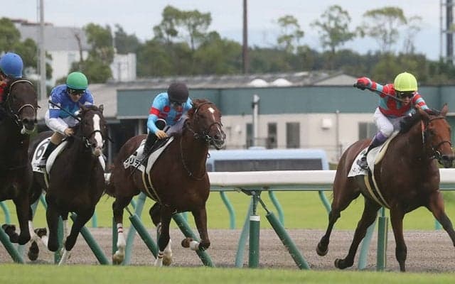 【新馬/中京5R】良血トゥデイイズザデイがデビューV