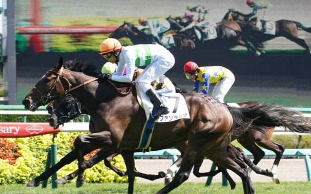 【新馬/中山6R】ハービンジャー産駒 ファンタジアがデビューV