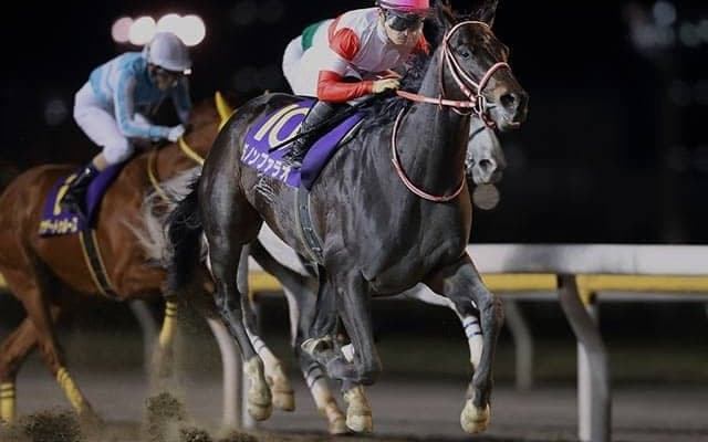 【船橋・日本テレビ盃】ケイティブレイブが回避 南関所属馬はノンコノユメなどが選出