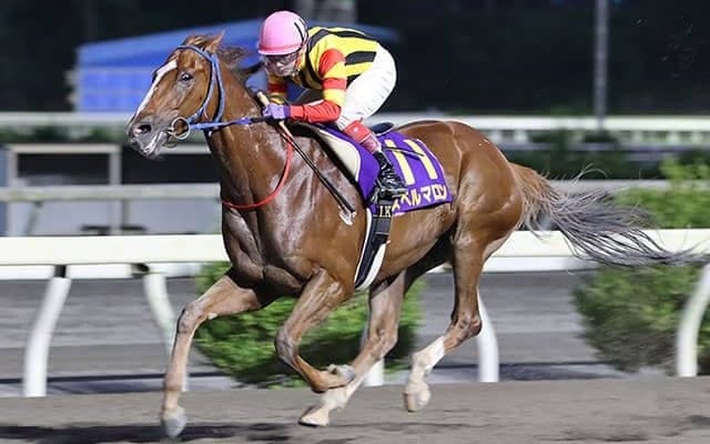 “1着賞金135万円”の時代から一転…高知のスペルマロンが獲得賞金1億円目前に！