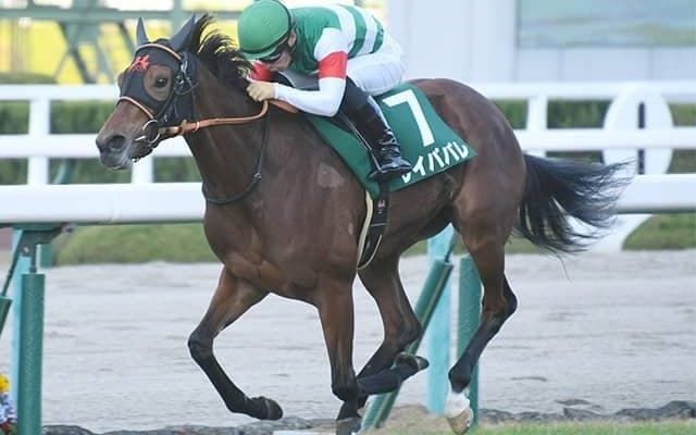 【AI予想】ビッグレース向きの資質が問われるオールカマーで“不安要素ナシ”の1頭は？