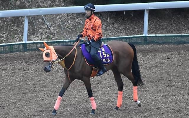 【オールカマー予想オッズ】今年の大阪杯を制したレイパパレが単勝1.6倍で予想1番人気