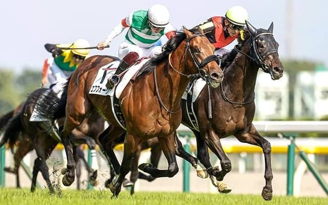 【神戸新聞杯予想オッズ】ダービー馬シャフリヤールが単勝1.3倍で抜けた1番人気に