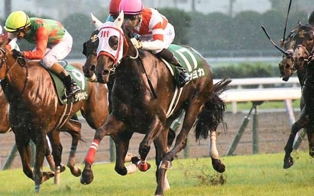 【JRA】九州産馬ヨカヨカに左第1指節種子骨々折が判明　競走能力を喪失