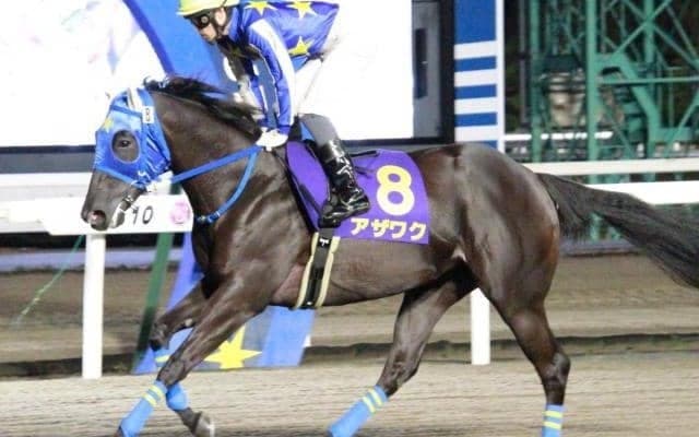 【門別競馬情報】雨馬場で時計勝負ならアザワクら先行勢、パワー要る決め手勝負ならジャスパーシャインらが優位か「第2回ウポポイオータムスプリントH2」 /地方競馬情報