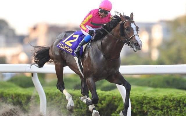 【浦和・オーバルスプリント結果】テイエムサウスダンが早め先頭から押し切り重賞3勝目