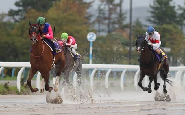 【白山大賞典回顧】水の浮く不良馬場を味方に逃げ切りメイショウカズサ/斎藤修