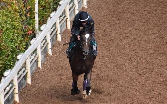 【JRA新馬戦】ダノンファンタジーの半弟セレブレイトガイズなどがデビュー