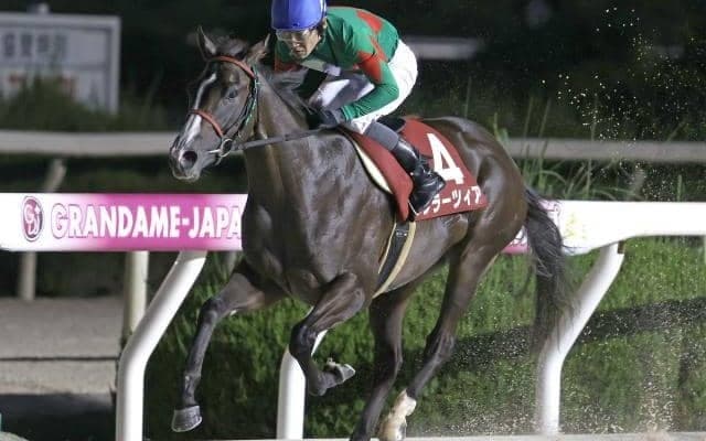 【園田プリンセスC結果】グラーツィアが逃げて快勝、道営所属馬のワンツー